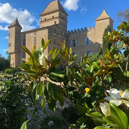 Semesterbostad Domaine De Ribaute