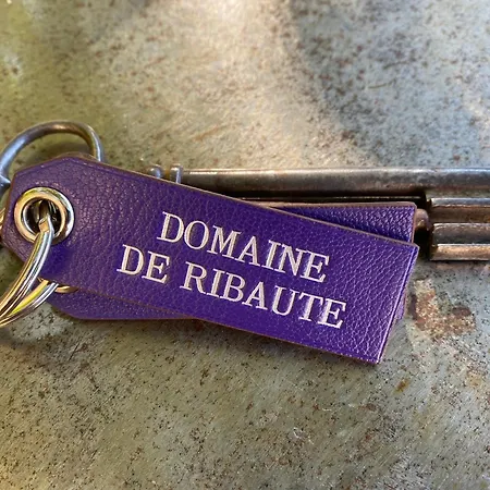 Domaine De Ribaute Semesterbostad