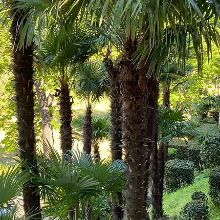 Domaine De Ribaute Дом отдыха *